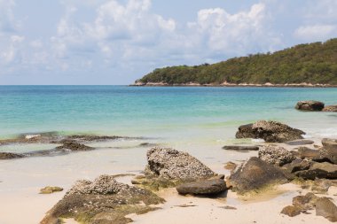 Dağ arka plan ile kayalık plaj