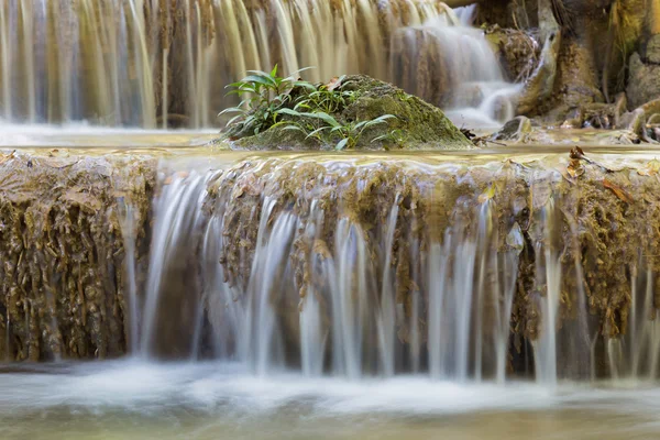Little tree over tropical stream waterfalls — Stock Photo, Image