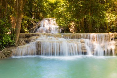 Derin tropikal orman şelale