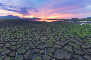 Çatlamak arazi üzerinde küçük çim 