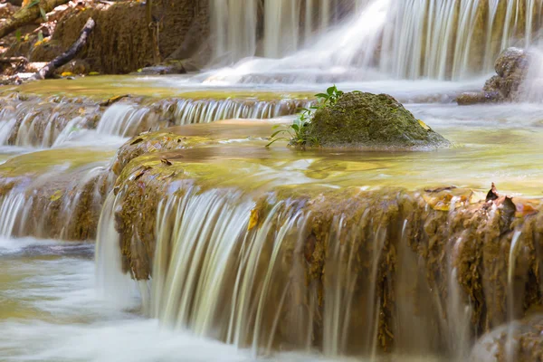 Derin orman şelaleler, doğal peyzaj arka plan küçük ağaç