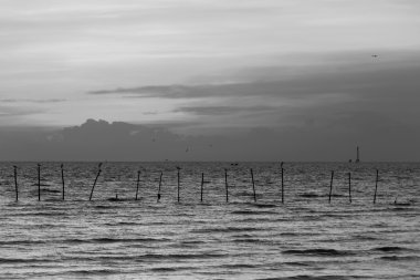 Siyah ve beyaz, doğal kaya ile Sahil ve güzel gökyüzü arka plan