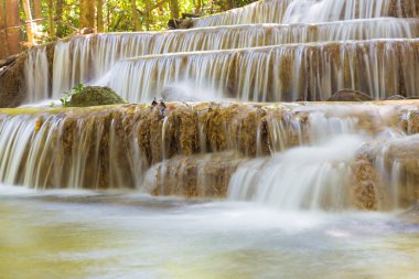 Doğal derin orman şelaleler Tayland doğal park