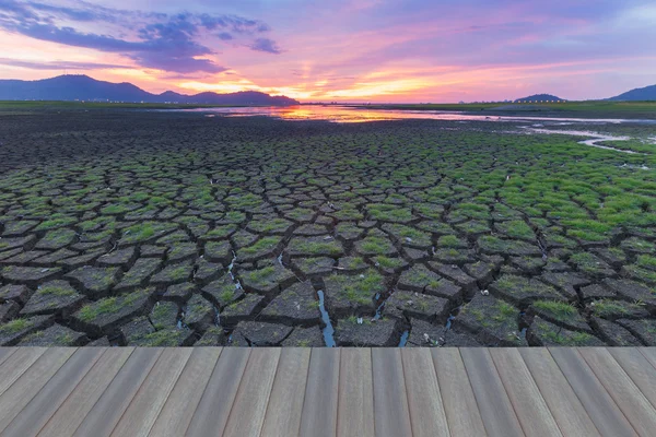 Opening wooden floor, Crack land with small early birth grass — Stock Photo, Image