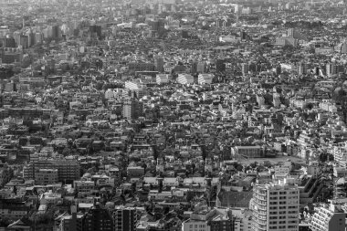 Siyah ve beyaz, Tokyo oturma alanının havadan görünümü