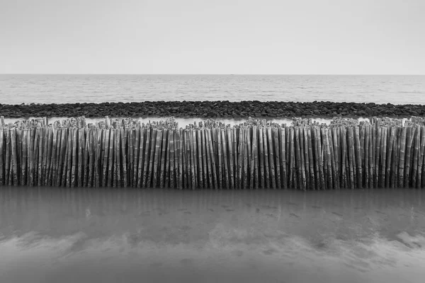 Preto e branco, cerca de bambu proteger banco de areia — Fotografia de Stock