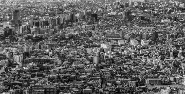 Siyah ve beyaz, Tokyo oturma alanının havadan görünümü