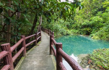 Walk way leading to Emerald Pool in Krabi clipart