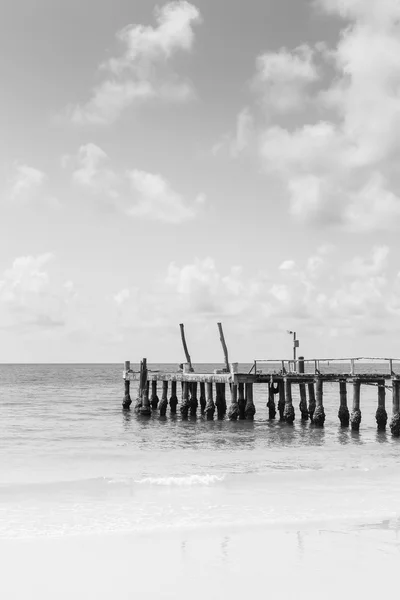 Preto e branco, molhe da pesca sobre o horizonte do seacoast — Fotografia de Stock