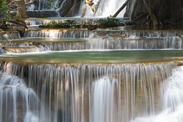 Cerca de cascada de arroyo natural —  Fotos de Stock