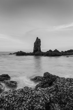 Siyah ve beyaz, kayalık deniz manzarası 