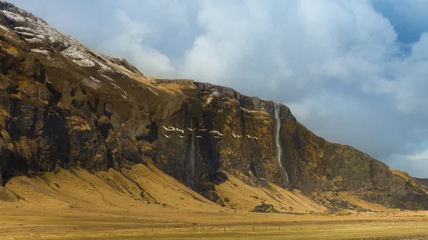 Paisagem bonita da montanha islandesa com show cover no topo — Fotografia de Stock