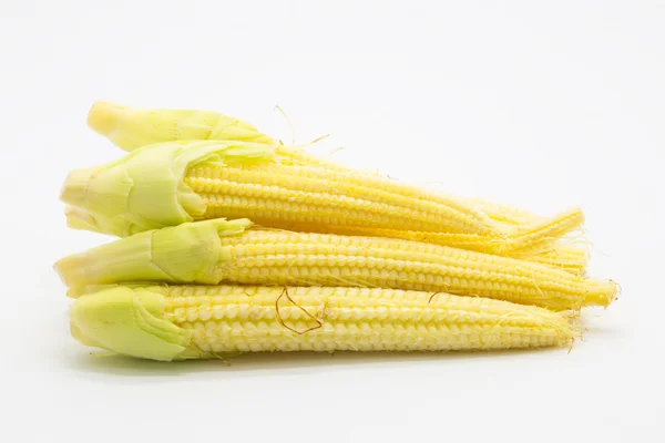 Fresh Baby corn on white — Stock Photo, Image