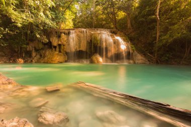 Derin orman doğal şelaleler