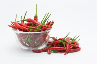 Kırmızı sıcak soğuk beyaz üfle çim üzerinde