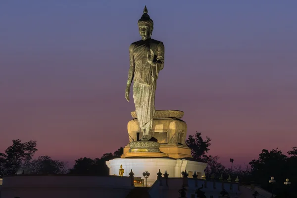 Asiatisk stående stor Buddha efter solnedgang - Stock-foto