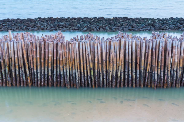 Μπαμπού φράχτη προστατεύουν την αμμουδιά από θαλάσσιο κύμα/τσουνάμι — Φωτογραφία Αρχείου