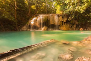 Bahar sezonu derin yağmur ormanları ormanda bulunan su düşüyor