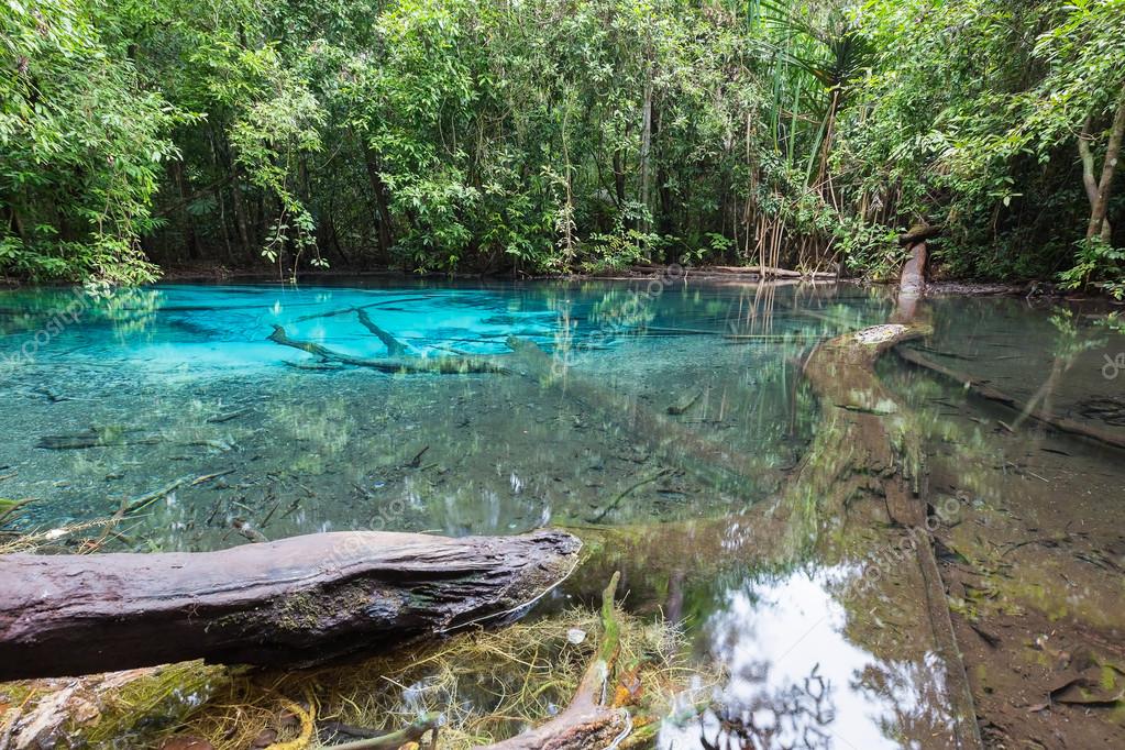 Lagon Piscine Naturelle Bleu émeraude Photographie Pranodhm