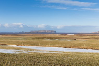 Glass field during winter with clear blue sky