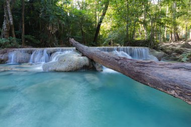 Derin orman mavi akım şelale