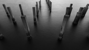 Siyah ve beyaz çit korumak kumsal