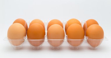 Karton tavuk yumurta kutusu beyaz arka plan üzerinde