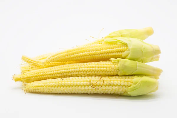 Fresh baby corn on white background — Stock Photo, Image