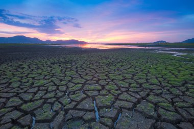 Güzel gökyüzü ile kırık çamur üzerinde yeşil cam
