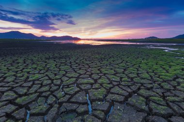 arazi küçük erken doğum çim ile çatlamak