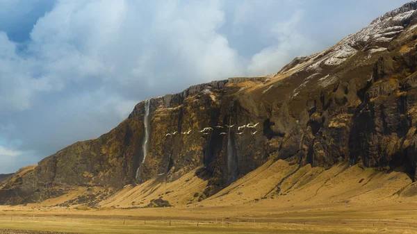 小さな滝とアイスランドの山の美しい風景 — ストック写真