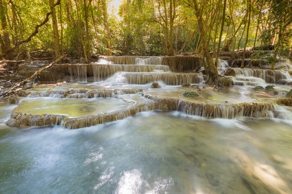 Forêt profonde chute d'eau de source — Photo