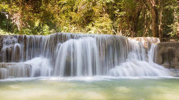 Derin orman milli parkta güzel akış su düşüyor