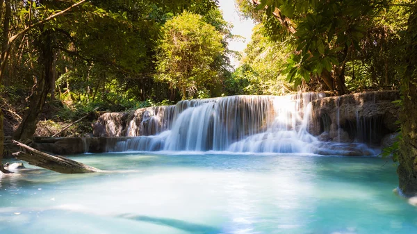 Beautiful deep forest blue stream waterfalls — Stock Photo, Image
