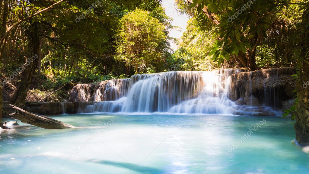 Beautiful deep forest blue stream waterfalls