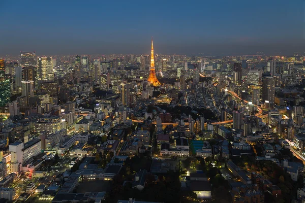 Vista aérea de Tokio crepúsculo —  Fotos de Stock