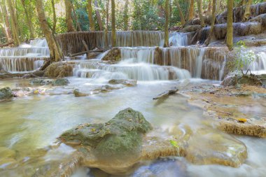 Şelaleler derin Tayland ulusal park orman