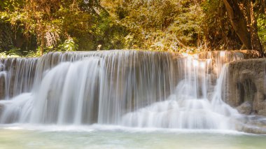 Tayland derin orman ormanda güzel akışı şelaleler