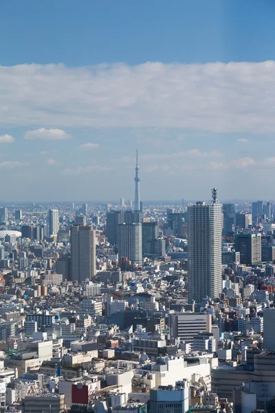 Tokyo şehir şehir havadan görünümü — Stok fotoğraf