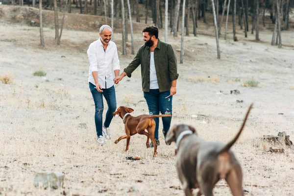 Mutlu eşcinsel çift kırsalda köpekleriyle yürüyor..