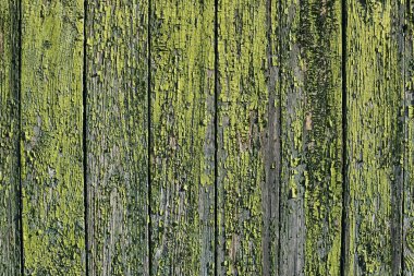 Kırsal ahşap duvarlar, yeşil renkler, detaylı ahşap fotoğraf dokusu. Doğal ahşap yapı arka planı.