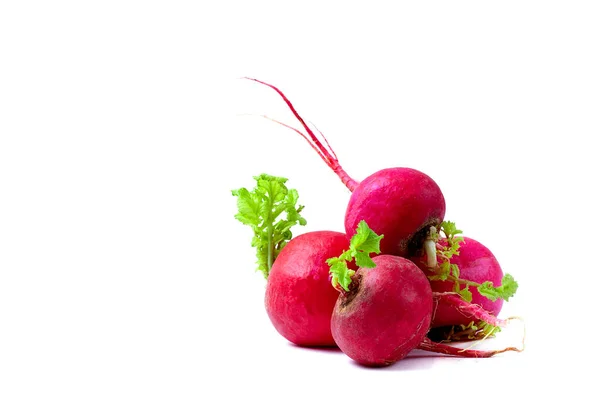 Rotgrönsak rädisor, rå, vit bakgrund, horisontella, inga människor, kopiera spas, — Stockfoto