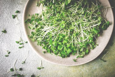 Taze mikro-yeşillik, tabakta, üst manzara, insan yok.,