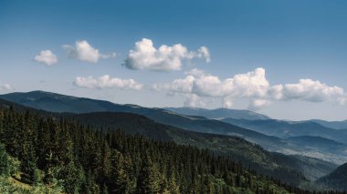 Dağın zirvesinden tepeye ve vahşi ormana kadar.