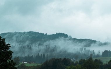 Dağlarda sis, ormanlık dağ tepeleri. Ukrayna dağ köyü