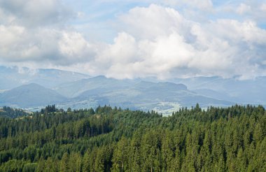 Kabarık bulutlu dağ manzarası. Kozalaklı orman
