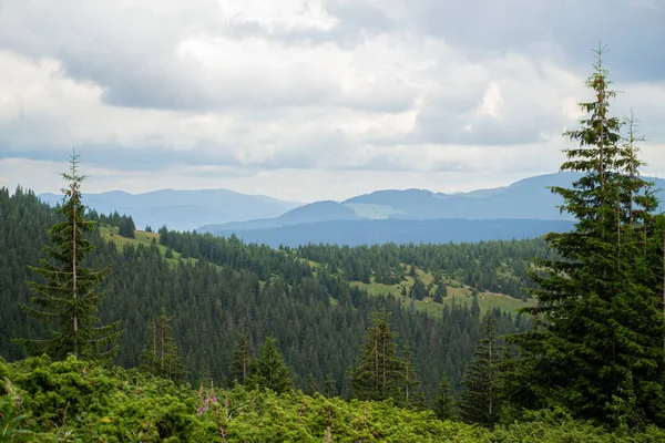 Nádherná horská scenérie. Letní den v horách. Ukrajinští Karpat — Stock fotografie