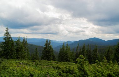 Güzel dağ manzarası. Dağlarda yaz günü. Ukrayna Karpatları