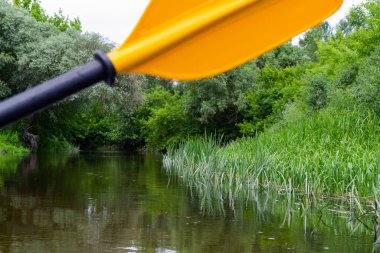 Sarı kürek için kürek çekin nehirde kano sürerken, doğanın arka planında