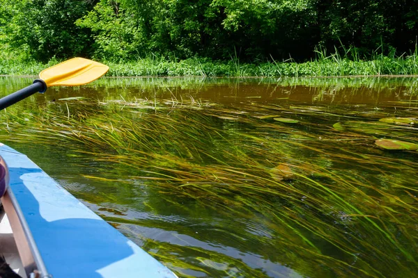 Une pagaie pour ramer jaune dans les mains d'une fille en kayak sur la rivière avec de belles algues — Photo